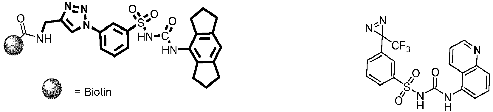 Figure imgb0161