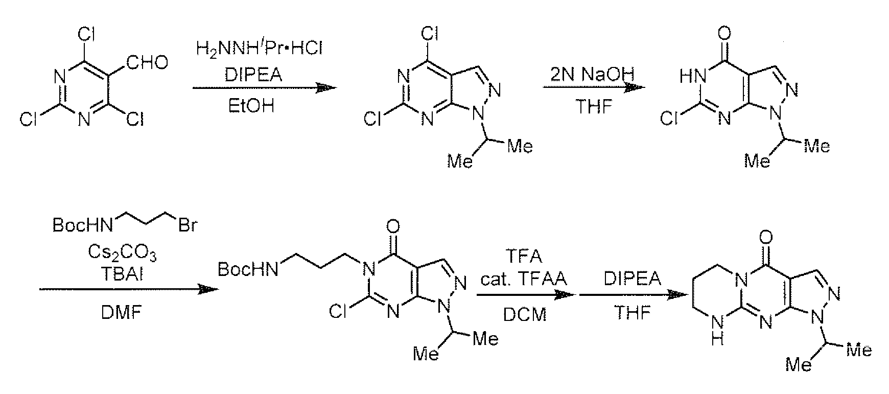 Figure JPOXMLDOC01-appb-C000014