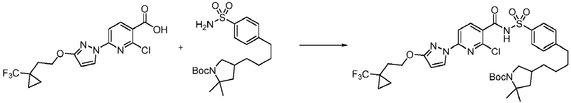 Figure imgb0556