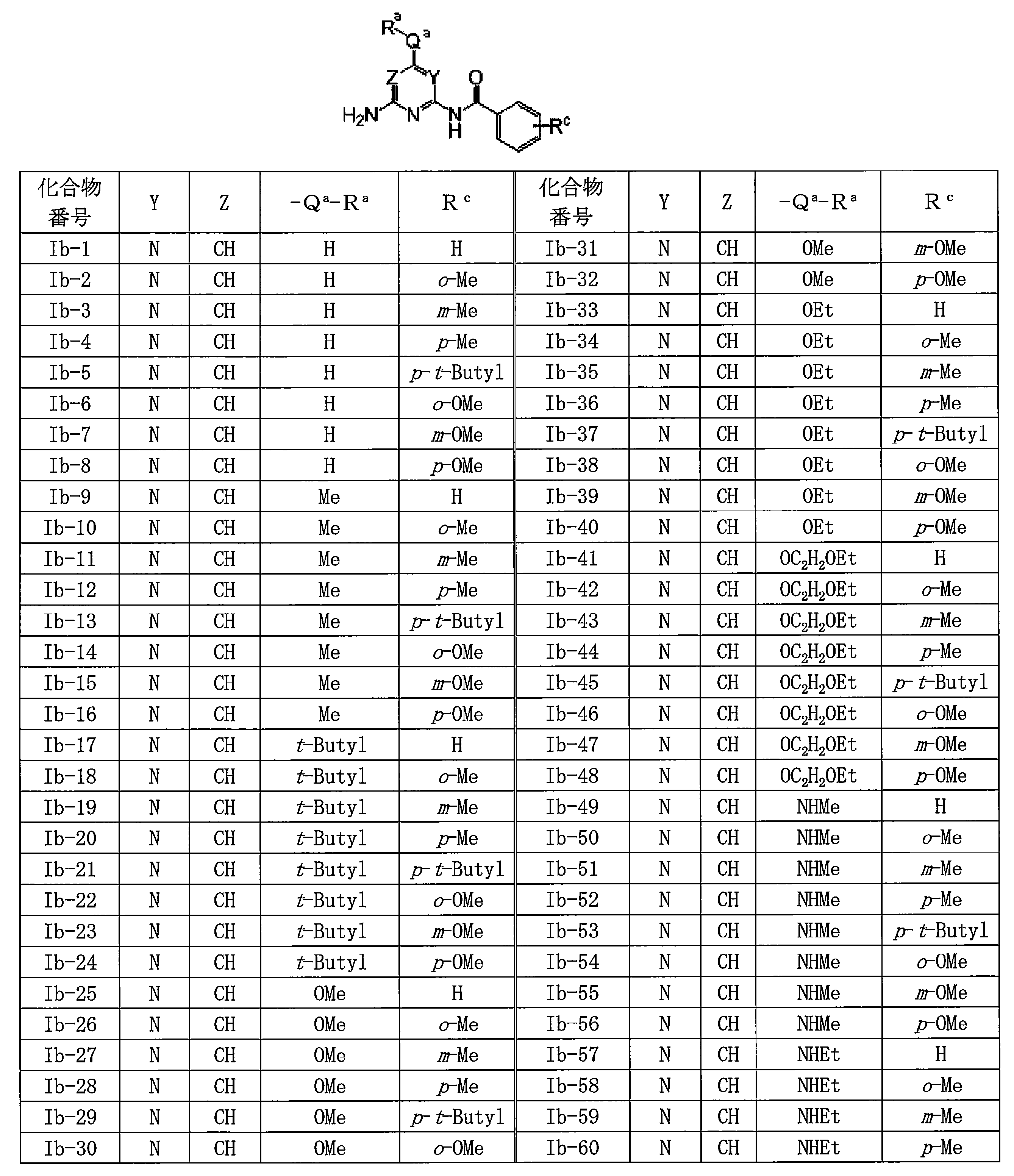 Figure JPOXMLDOC01-appb-C000202