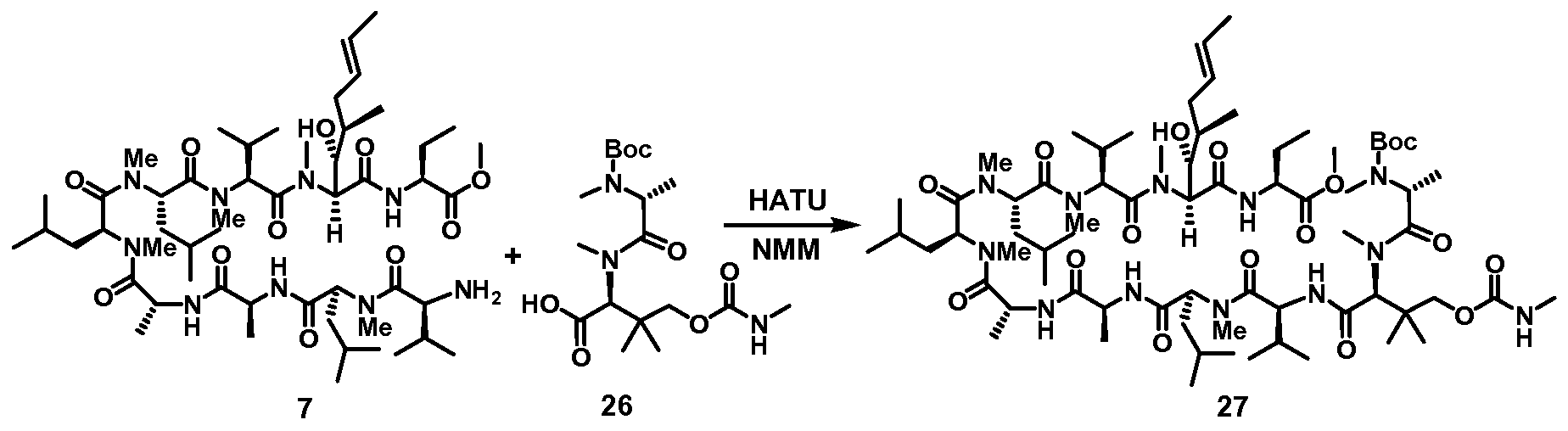 Figure imgf000053_0001
