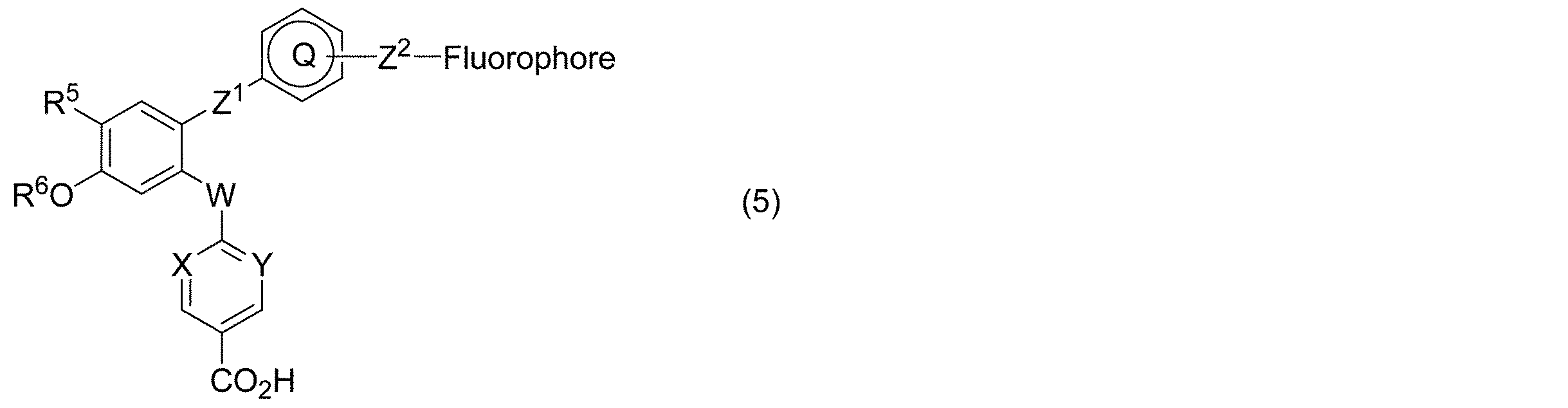 Figure JPOXMLDOC01-appb-C000005