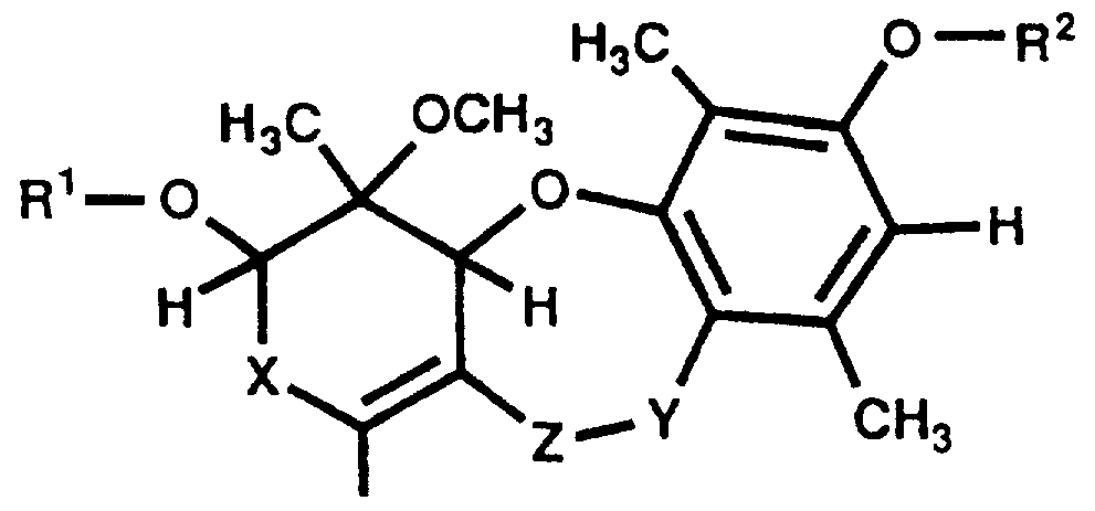 WO1997047611A1 - Dibenzo-oxazepine and -dioxepine derivatives and their ...