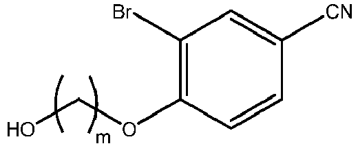 Figure imgb0013