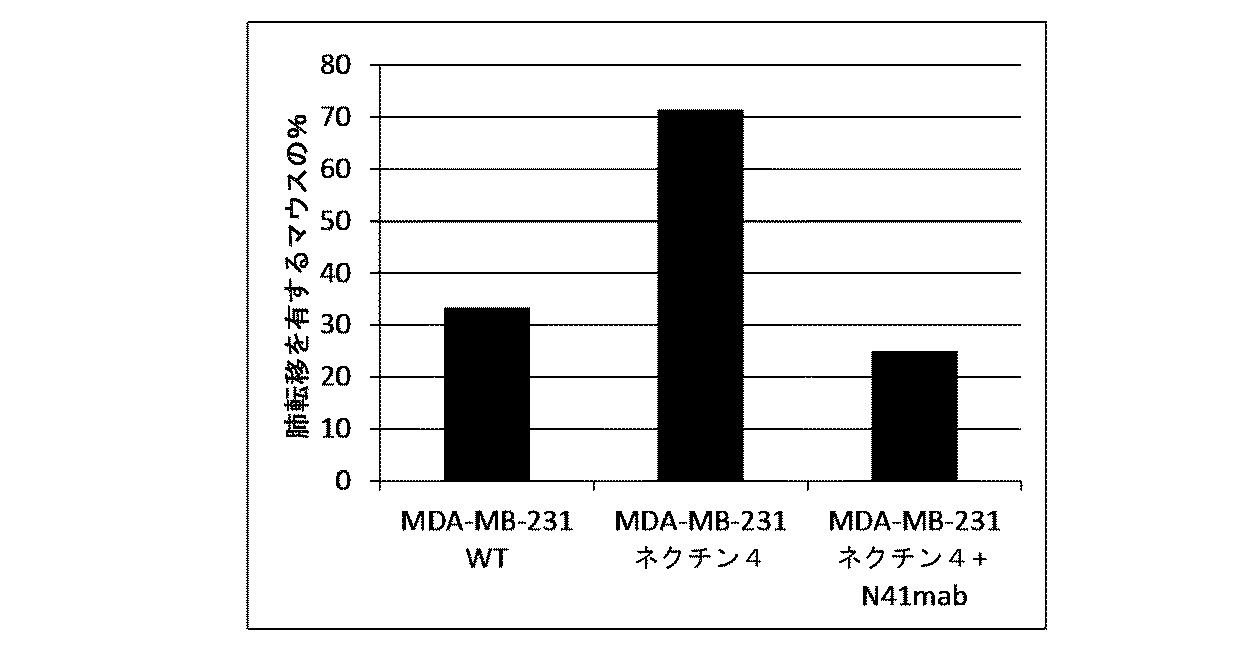 Figure 0006985252