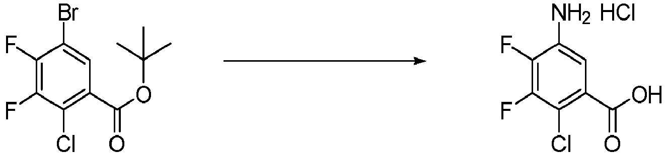 Figure imgb0809