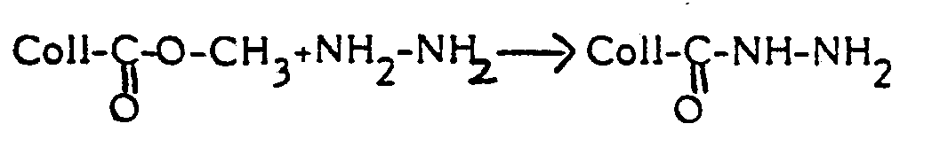 Figure imgb0002