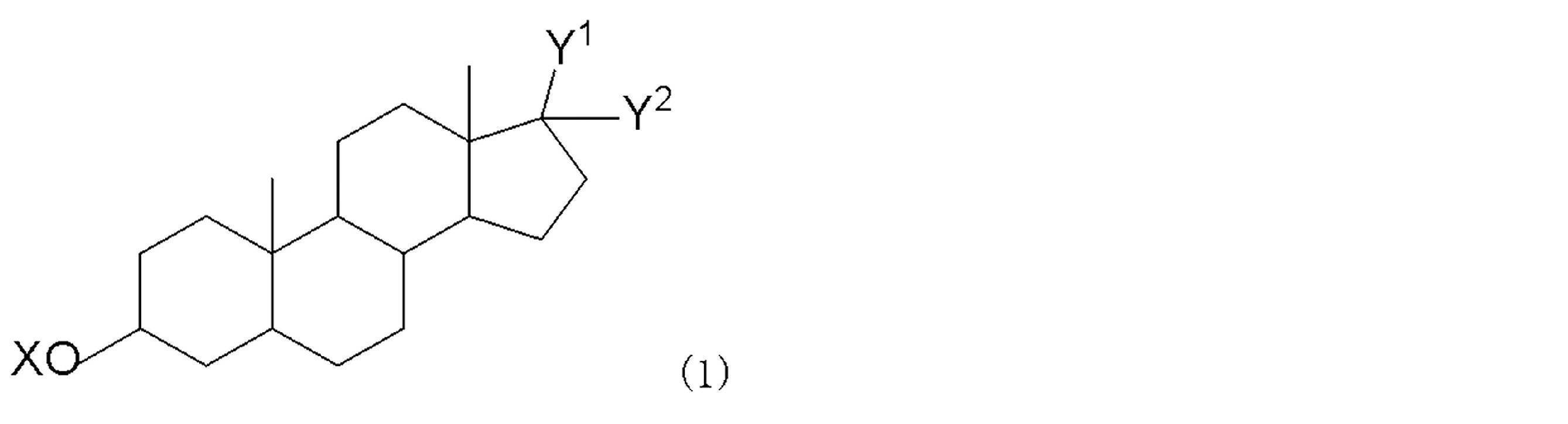 Figure JPOXMLDOC01-appb-C000011