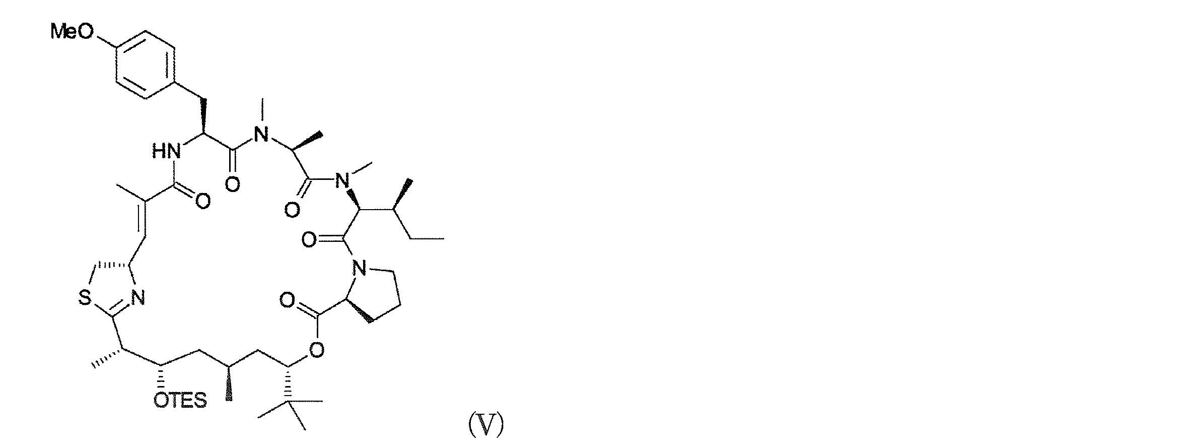 Figure JPOXMLDOC01-appb-C000013