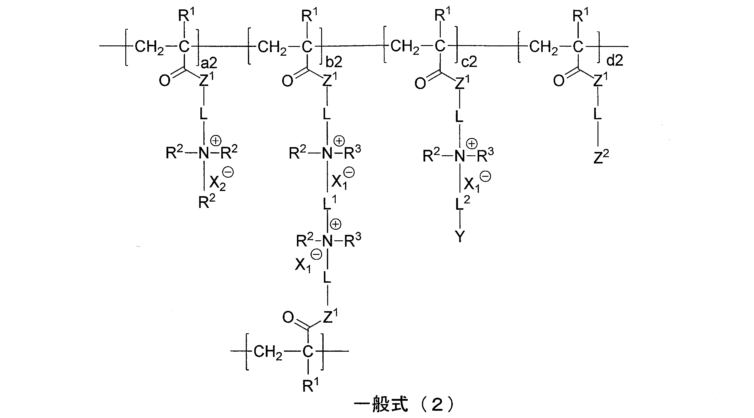Figure JPOXMLDOC01-appb-C000011