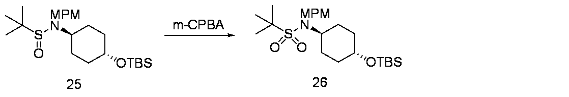 Figure JPOXMLDOC01-appb-C000056