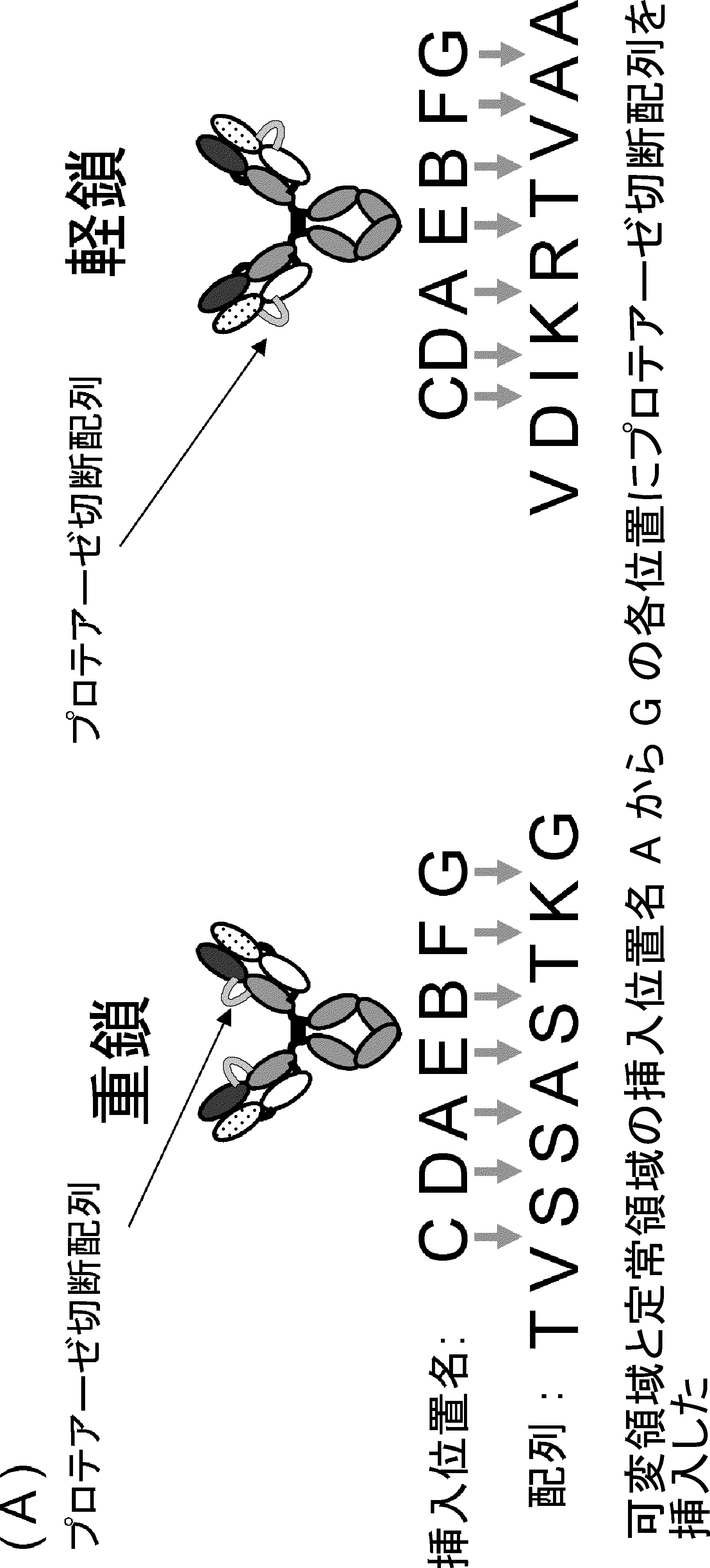 Rabbits Rabbits Country Club #FR2 パターホール付ネームプレート