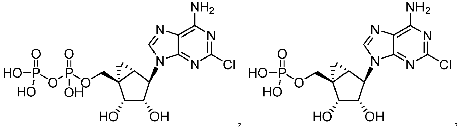 Figure imgb0079