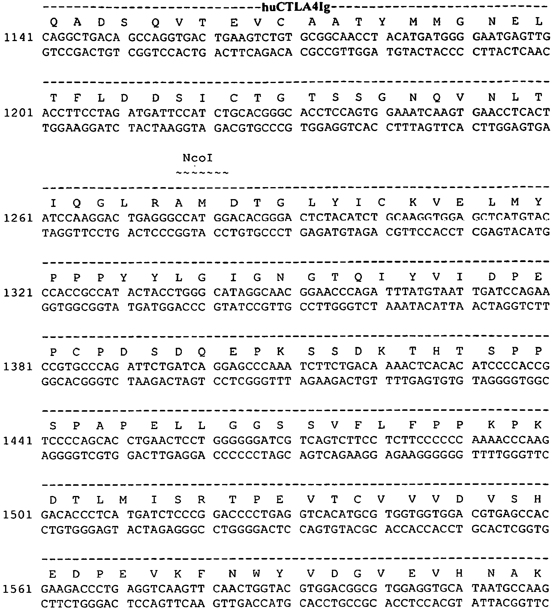 Figure imgb0247