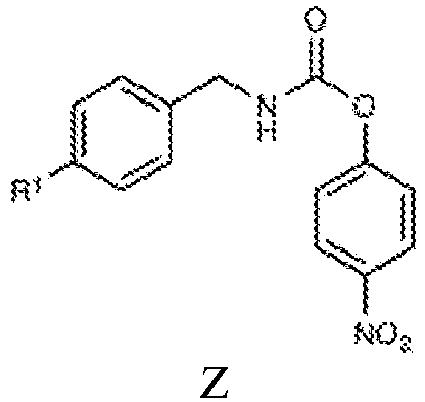 Figure imgb0010