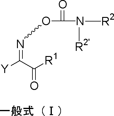 Figure JPOXMLDOC01-appb-C000001