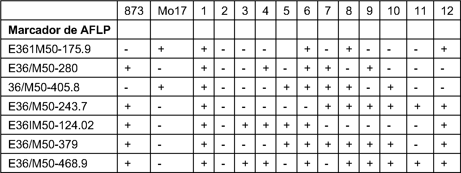 Figure imgf000013_0002