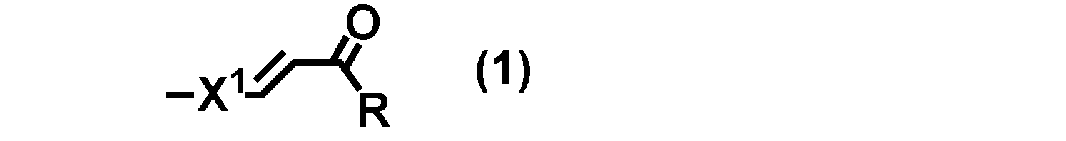 Figure JPOXMLDOC01-appb-C000005