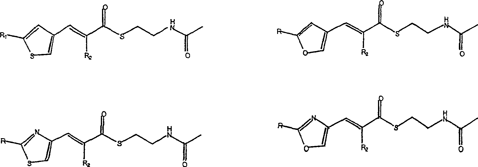 CN100480389C - 聚酮化合物的制备- Google Patents