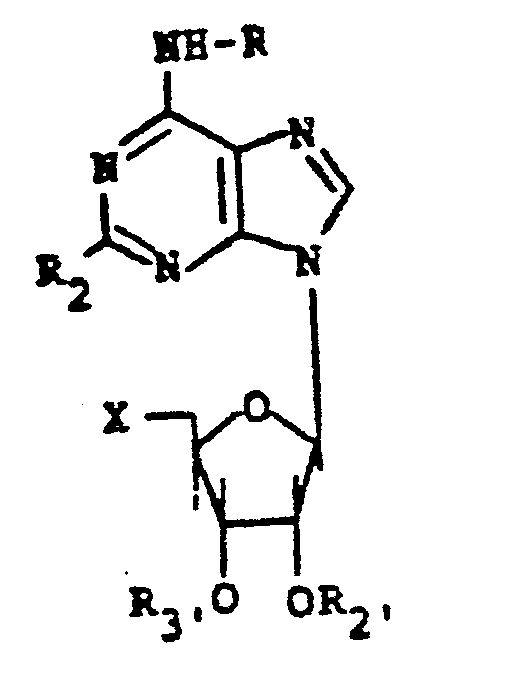 Figure imgb0013