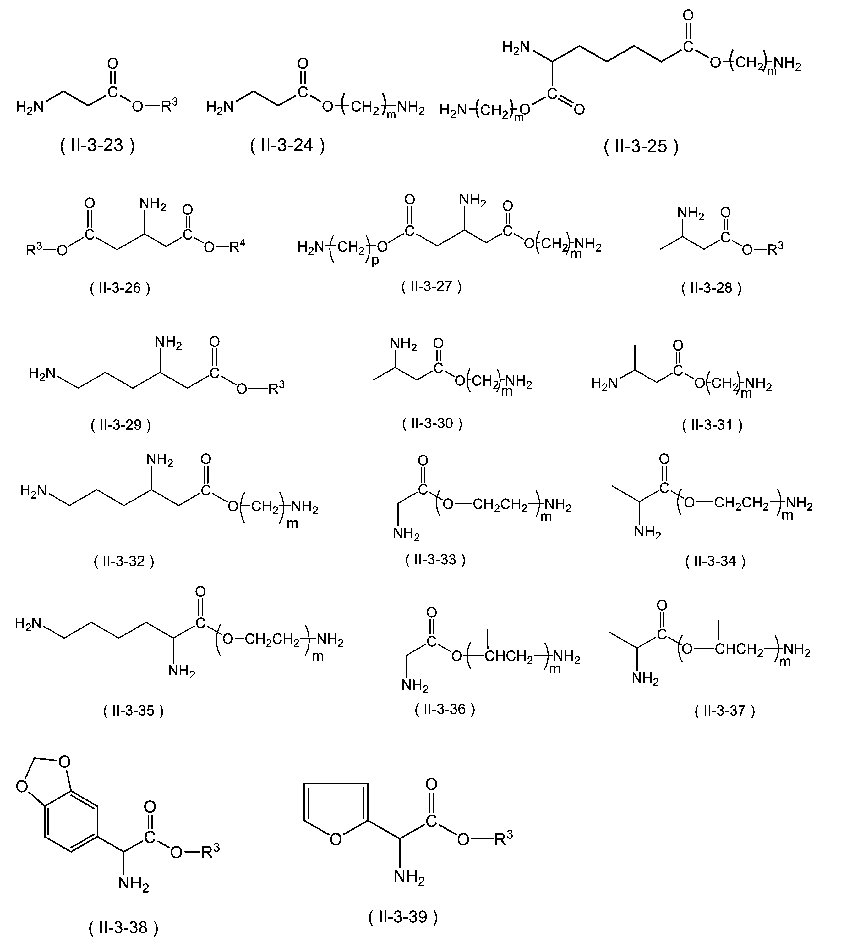 Figure JPOXMLDOC01-appb-C000039