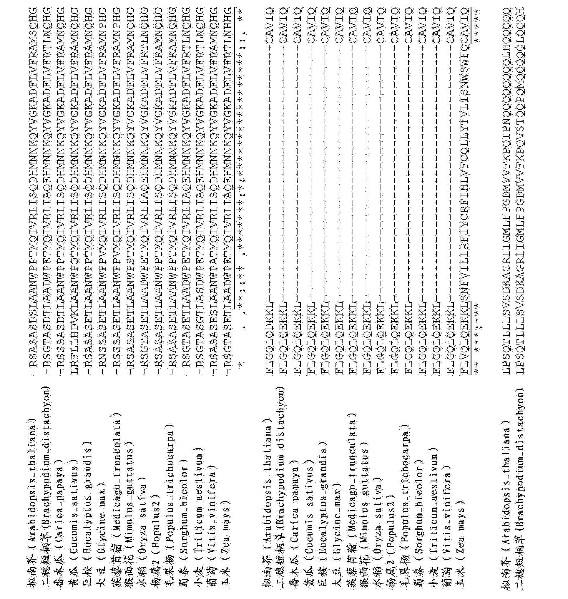 Cna 抗旱植物和使用转录调节子制备其的方法 Google Patents Cna 抗旱植物和使用转录调节子制备其的方法 Google Patents