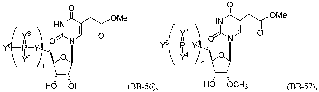 Figure imgb0080