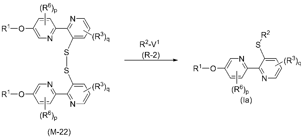 Figure JPOXMLDOC01-appb-C000024