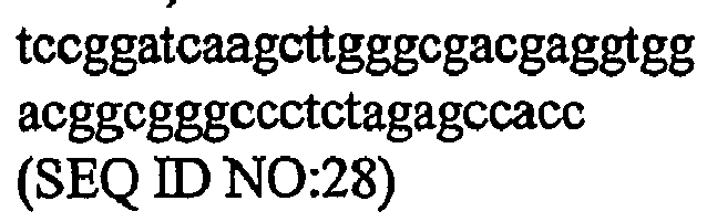 Figure imgb0024
