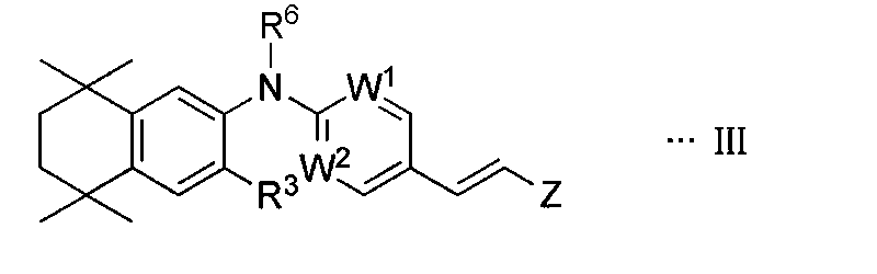Figure JPOXMLDOC01-appb-C000013