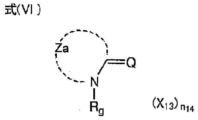 Figure JPOXMLDOC01-appb-C000013
