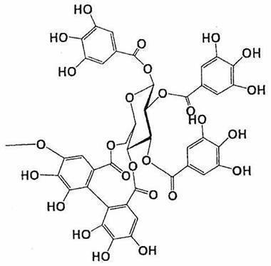 Figure JPOXMLDOC01-appb-C000033