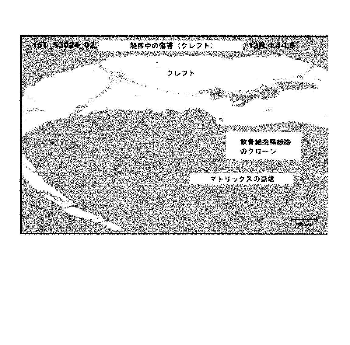 Figure 2021072902