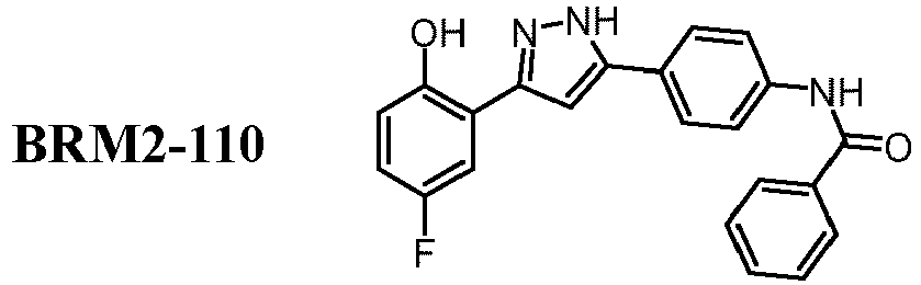 Figure imgb0017