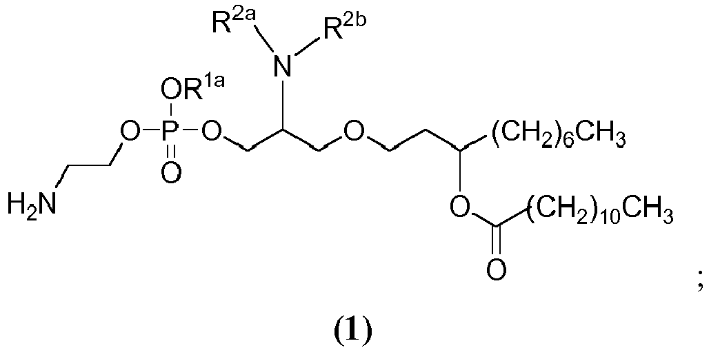 Figure imgb0014