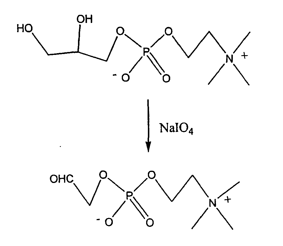 Figure 00490001
