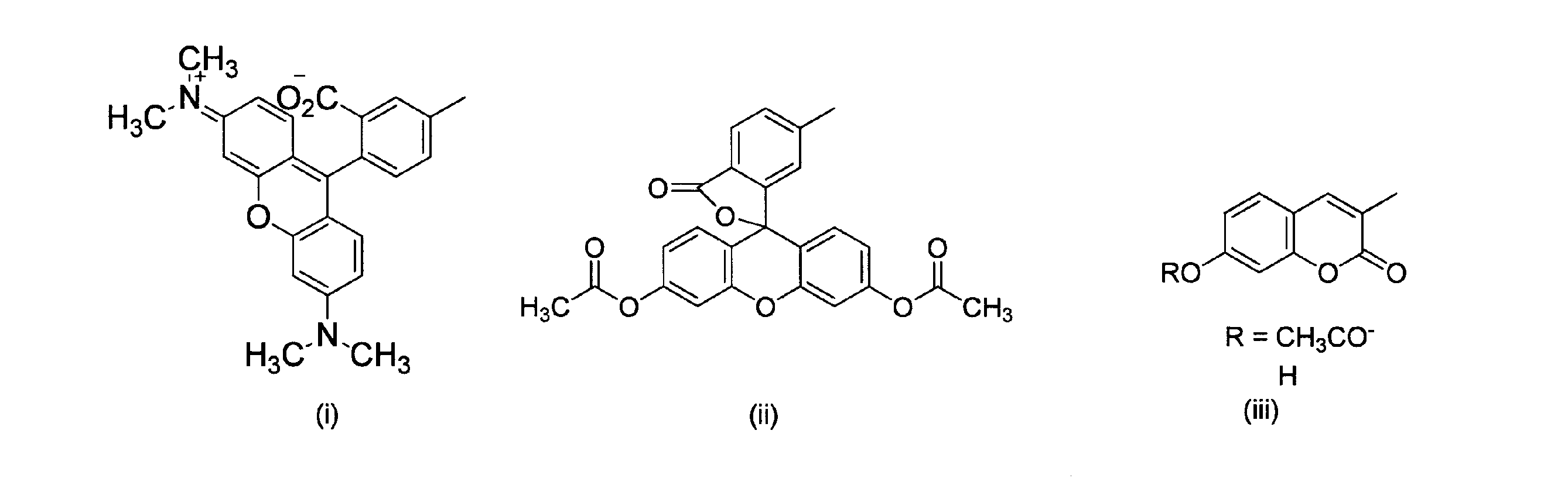 Figure JPOXMLDOC01-appb-C000013