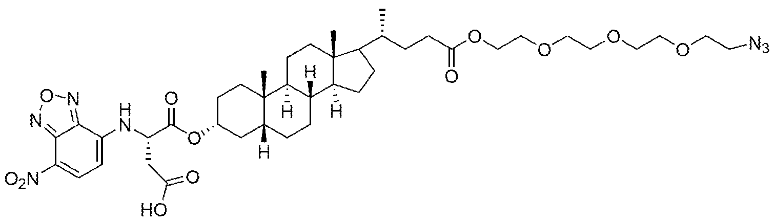 Figure imgf000053_0002
