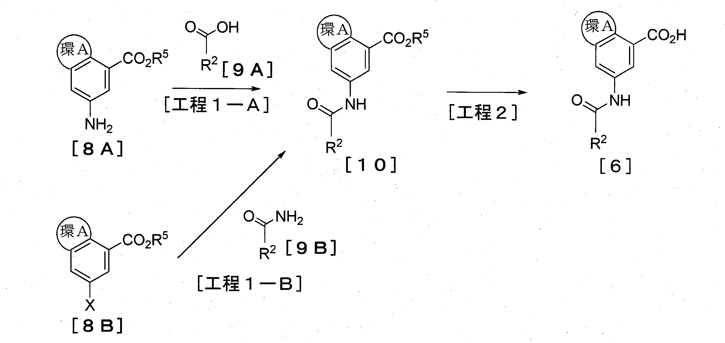 Figure JPOXMLDOC01-appb-C000008