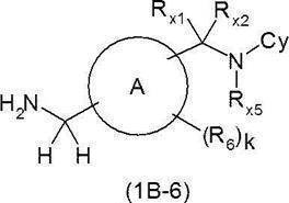 Figure JPOXMLDOC01-appb-C000209