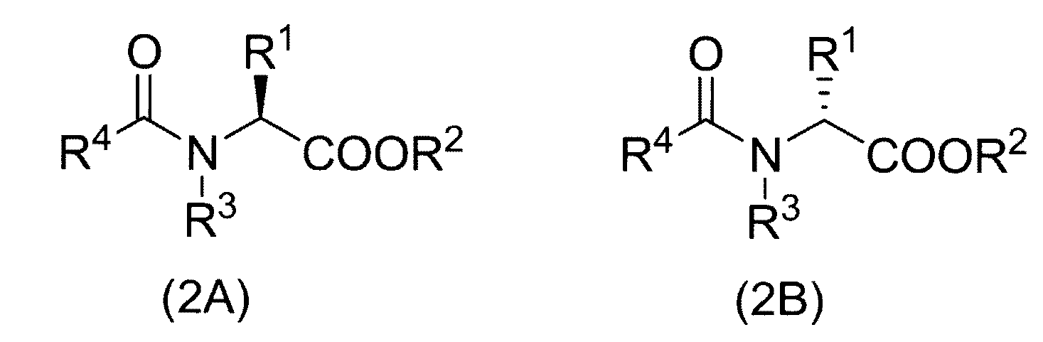 Figure JPOXMLDOC01-appb-C000011