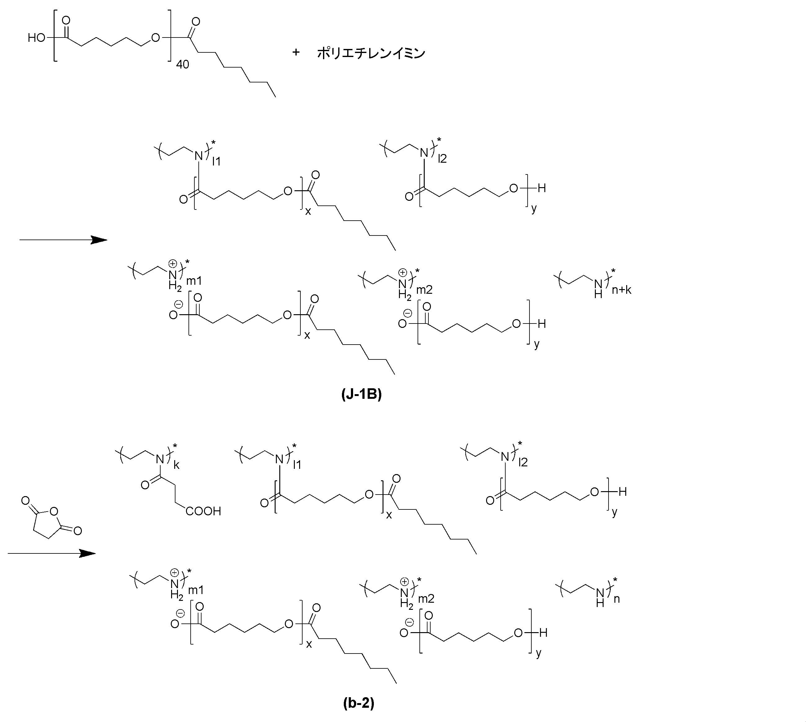 Figure JPOXMLDOC01-appb-C000047