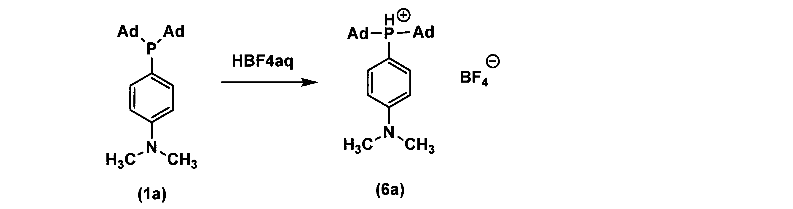 Figure JPOXMLDOC01-appb-C000040