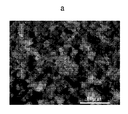 Figure 2013530495