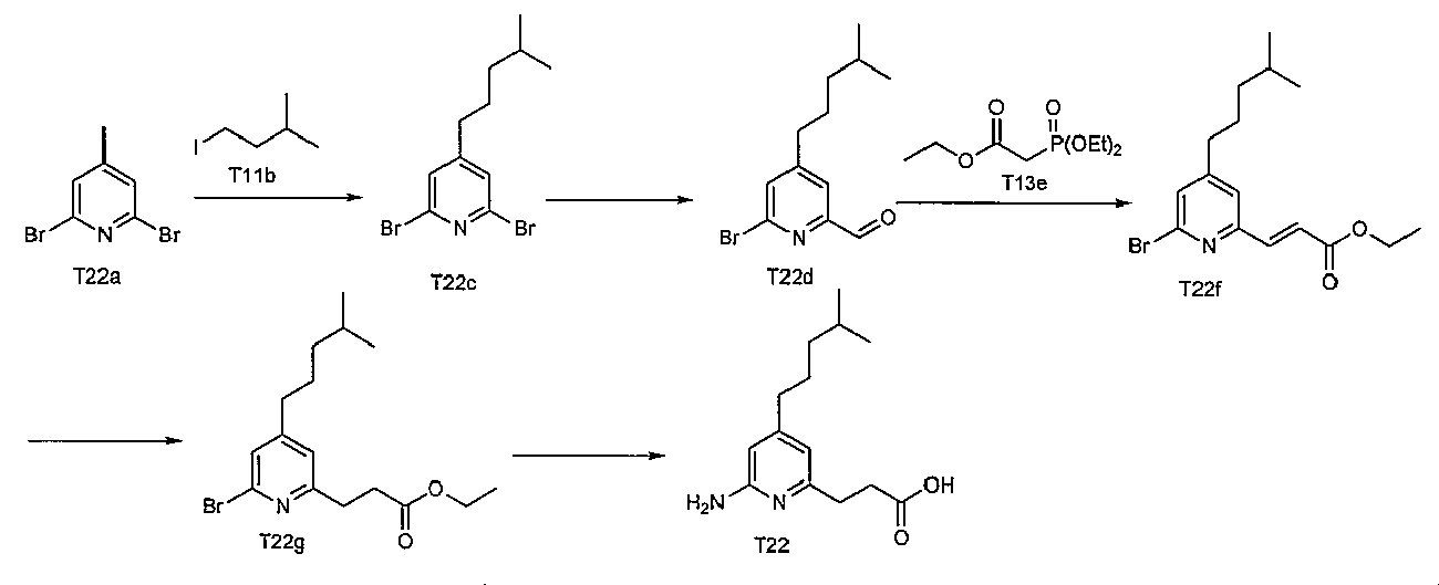 Figure JPOXMLDOC01-appb-C000011