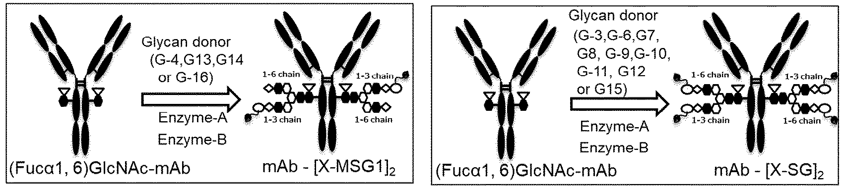 Figure imgb0087