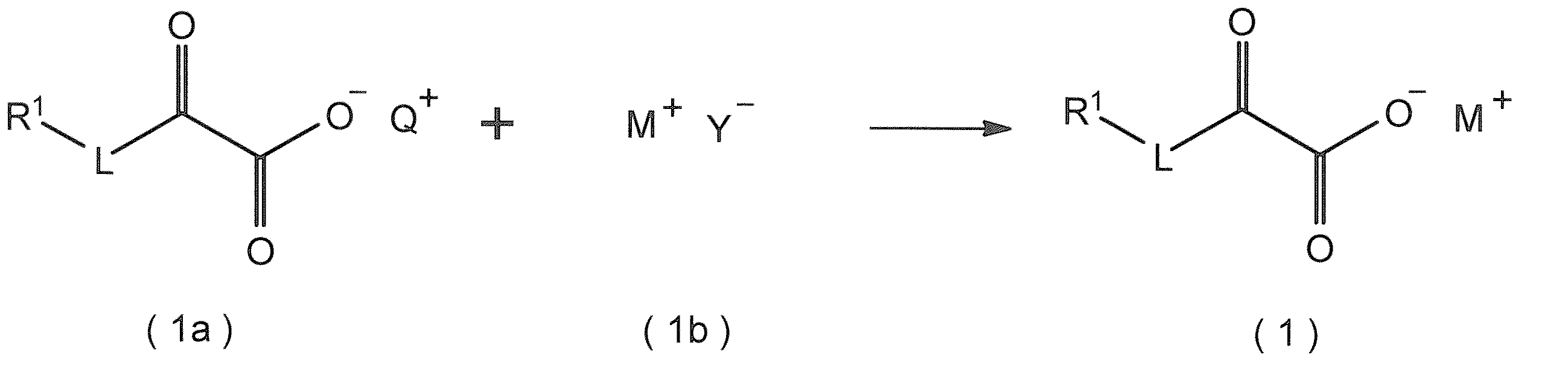Figure JPOXMLDOC01-appb-C000028