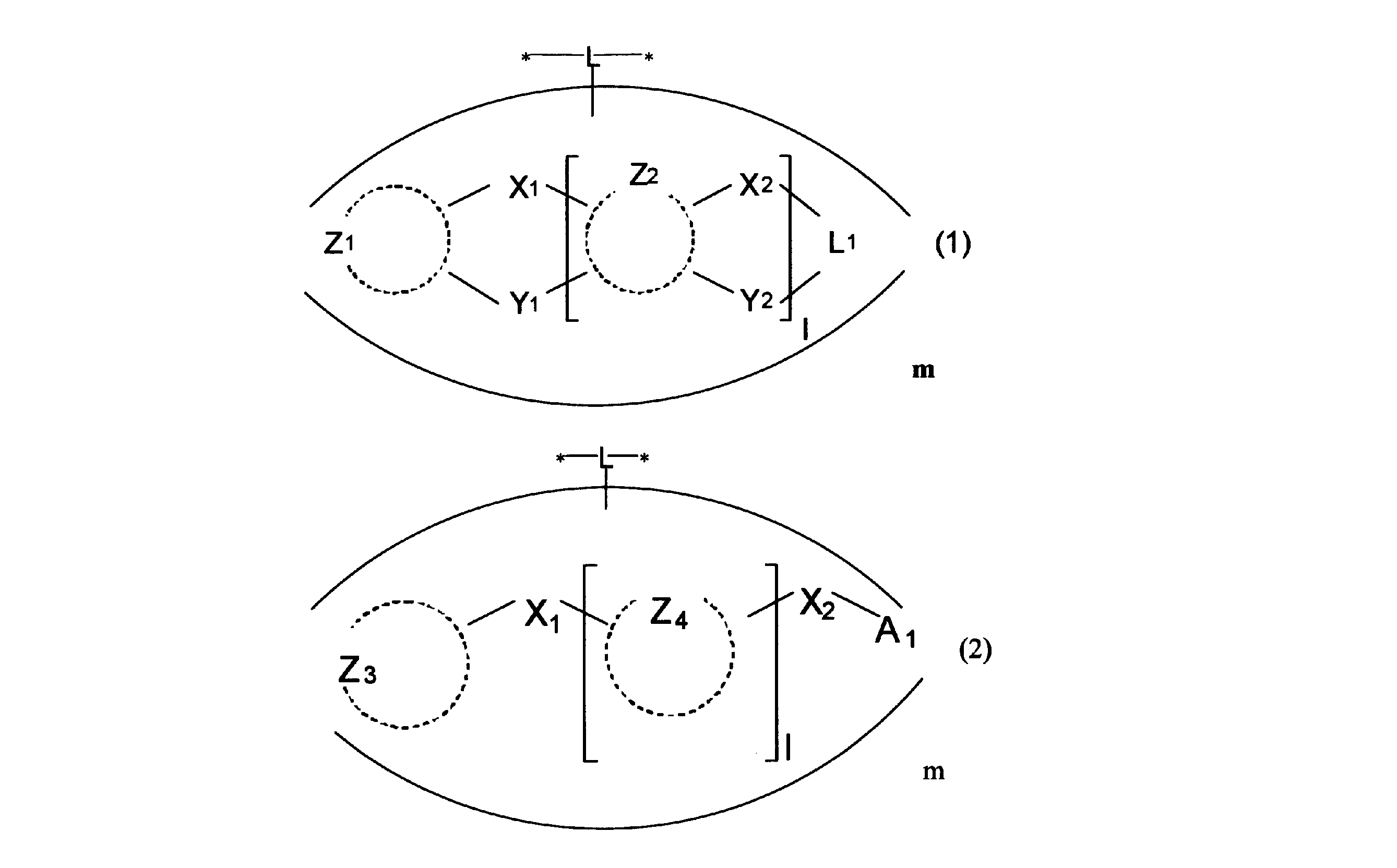 Figure JPOXMLDOC01-appb-C000013