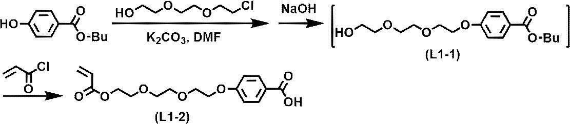Figure JPOXMLDOC01-appb-C000023