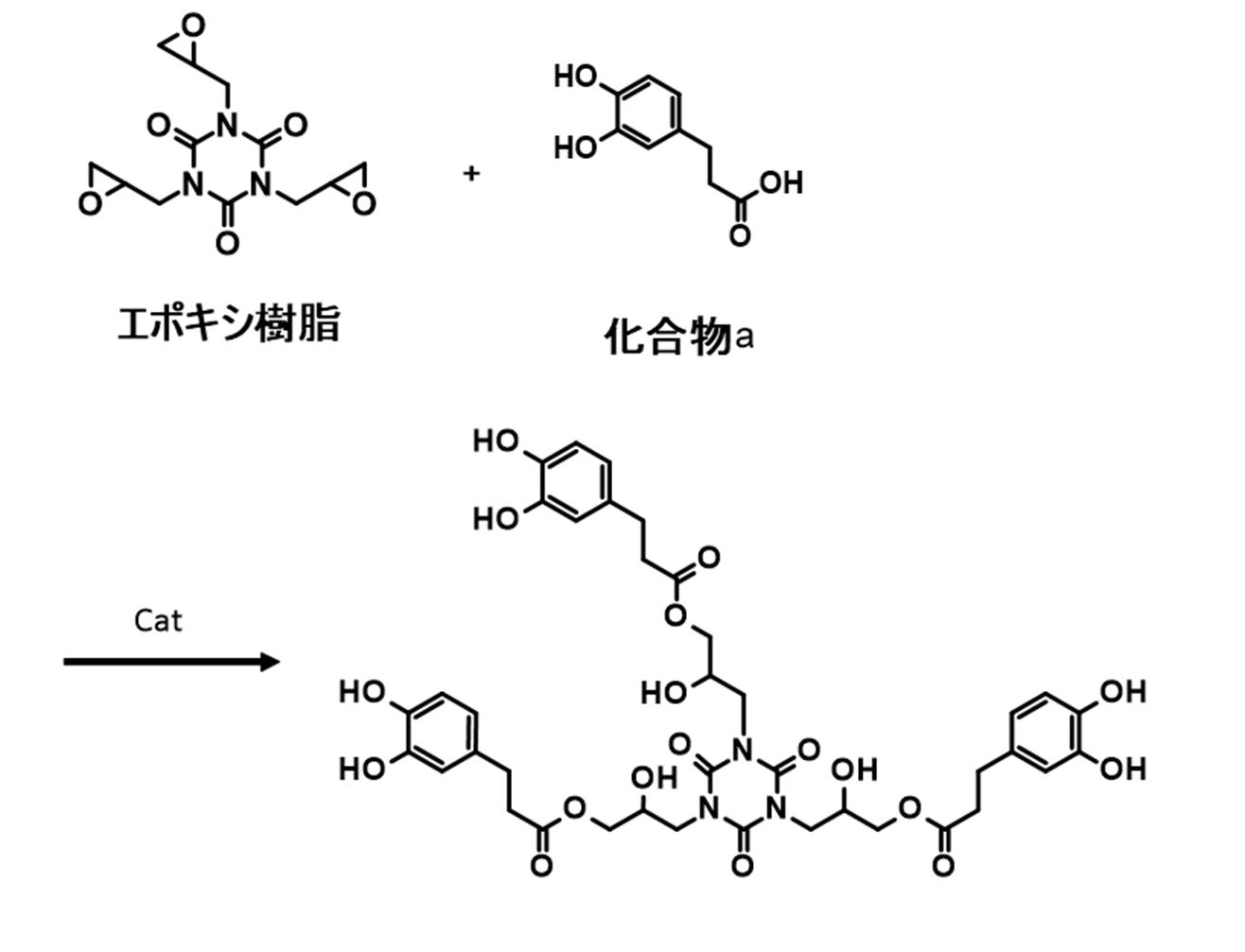 Figure JPOXMLDOC01-appb-C000020